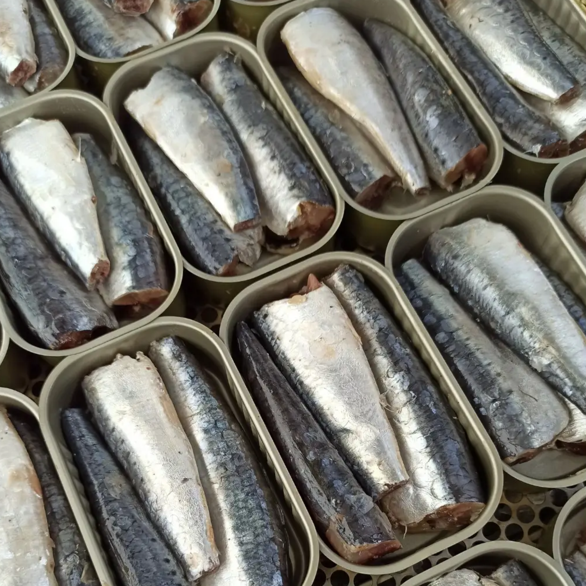 PAPA ANZÓIS Sardines in Olive Oil